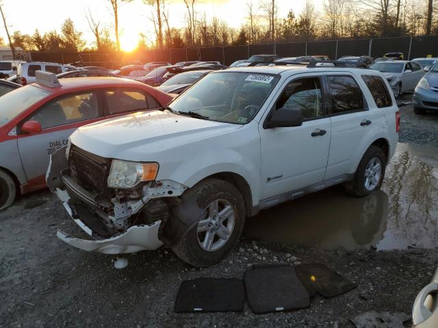FORD ESCAPE HYB 2009 with VIN 1FMCU59319KB19006 - Photo from auction