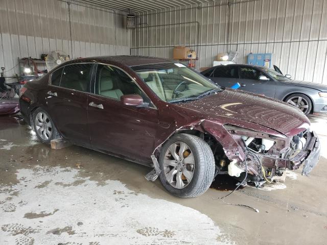 Photo 4 from auction – 2010 HONDA ACCORD EXL with VIN 5KBCP3F80AB014119
