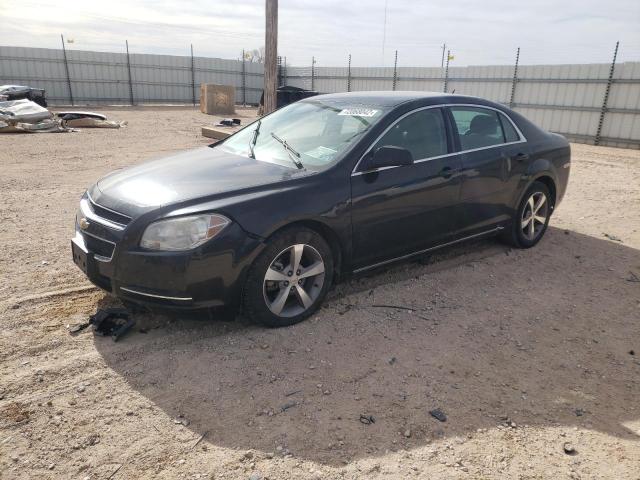 Photo 1 from auction – 2011 CHEVROLET MALIBU 1LT with VIN 1G1ZC5E16BF395453