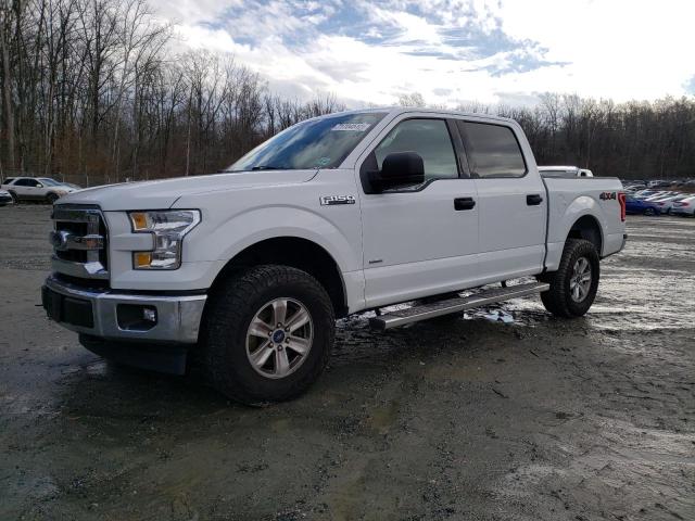 Photo 1 from auction – 2017 FORD F150 SUPER with VIN 1FTEW1EG0HFC04192