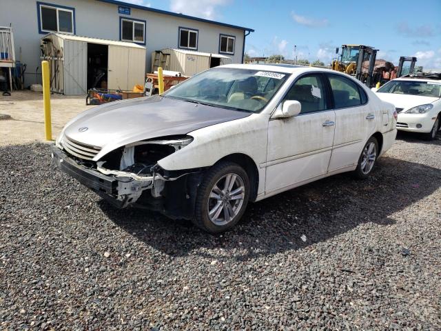 LEXUS ES 330 2005 with VIN JTHBA30G355093643 - Photo from auction