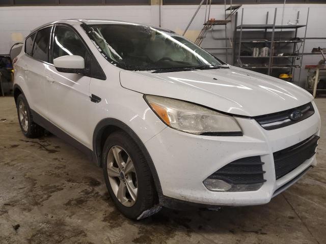Photo 4 from auction – 2014 FORD ESCAPE SE with VIN 1FMCU0GXXEUE01748