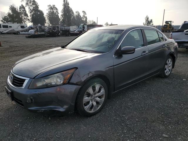 HONDA ACCORD EX 2010 with VIN 1HGCP2F71AA130441 - Photo from auction