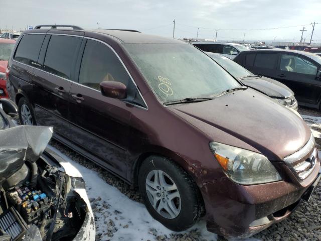 HONDA ODYSSEY EX 2007 with VIN 5FNRL384X7B407617 - Photo from auction