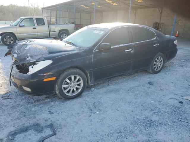 LEXUS ES 300 2002 with VIN JTHBF30GX25007130 - Photo from auction