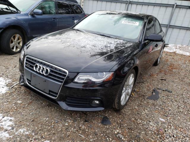 AUDI A4 PREMIUM 2011 with VIN WAUFFAFL1BN032247 - Photo from auction