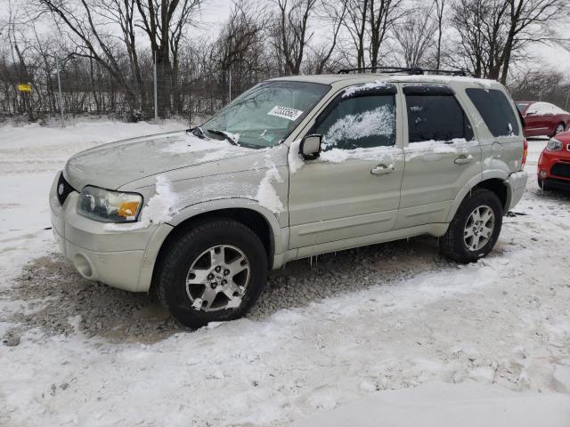 FORD ESCAPE LIM 2005 with VIN 1FMYU04115KB64164 - Photo from auction