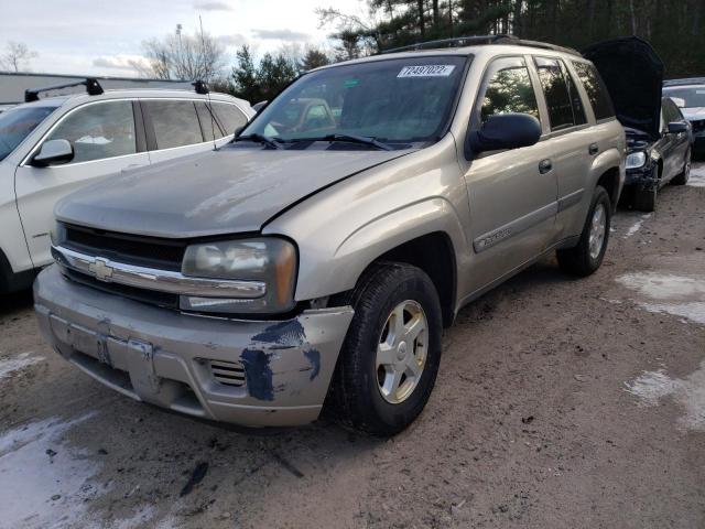 CHEVROLET TRAILBLAZE 2003 with VIN 1GNDT13S132202955 - Photo from auction