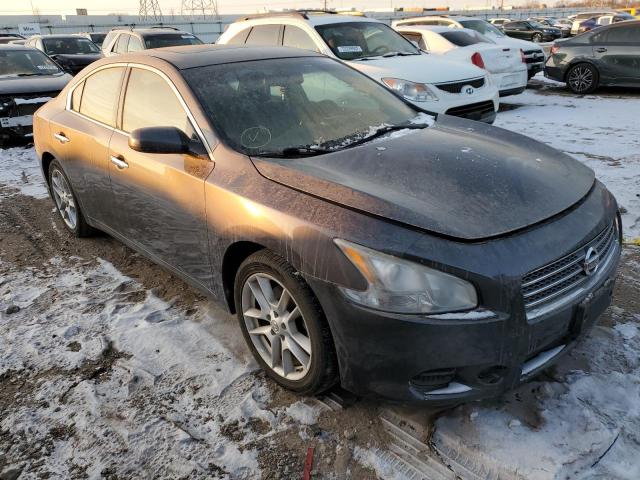 Photo 4 from auction – 2009 NISSAN MAXIMA S with VIN 1N4AA51E49C846089
