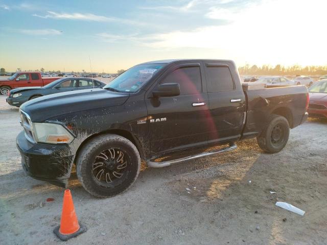 DODGE RAM 1500 2010 with VIN 1D7RB1GT0AS245870 - Photo from auction