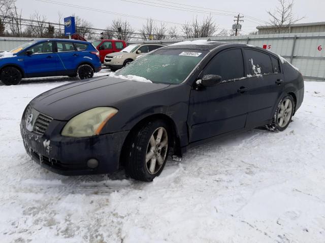 NISSAN MAXIMA SE 2004 with VIN 1N4BA41E14C923833 - Photo from auction