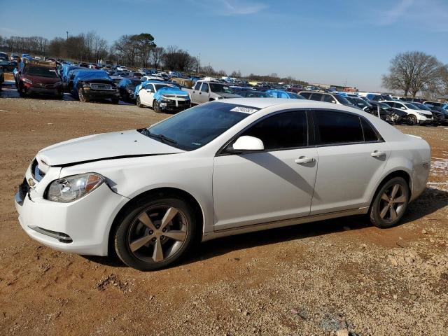 CHEVROLET MALIBU 1LT 2011 with VIN 1G1ZC5E1XBF117672 - Photo from auction