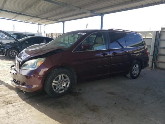 HONDA ODYSSEY EX 2007 with VIN 5FNRL38407B023099 - Photo from auction