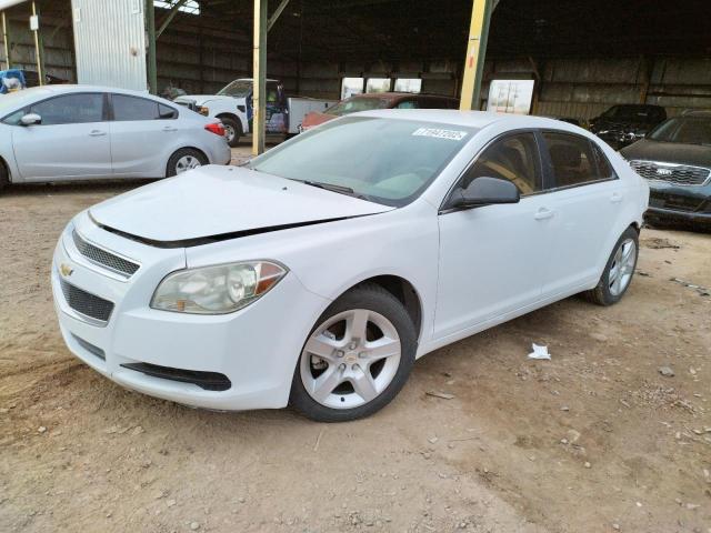 CHEVROLET MALIBU LS 2010 with VIN 1G1ZB5EB5AF227314 - Photo from auction