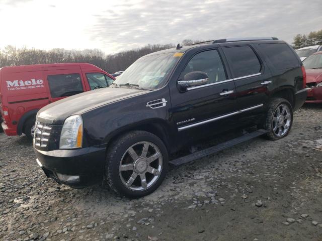 CADILLAC ESCALADE P 2010 with VIN 1GYUKCEF1AR178940 - Photo from auction