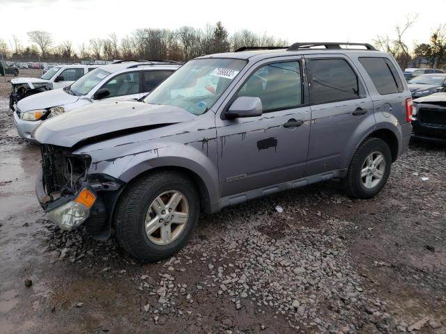 FORD ESCAPE HEV 2008 with VIN 1FMCU59HX8KA11929 - Photo from auction