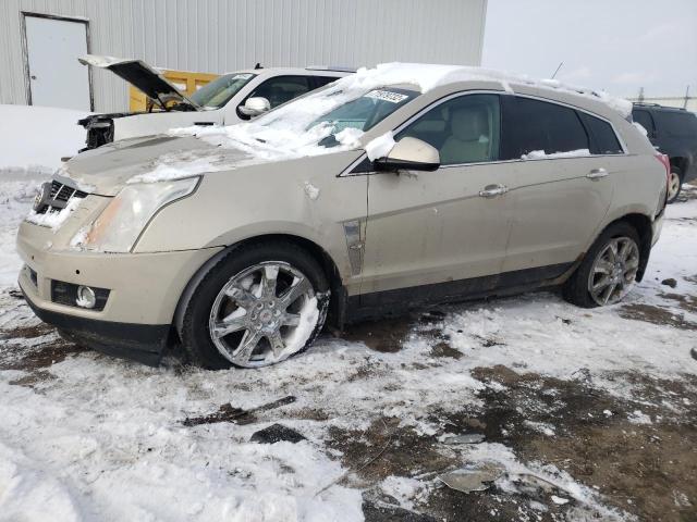 CADILLAC SRX PERFOR 2012 with VIN 3GYFNEE30CS614825 - Photo from auction