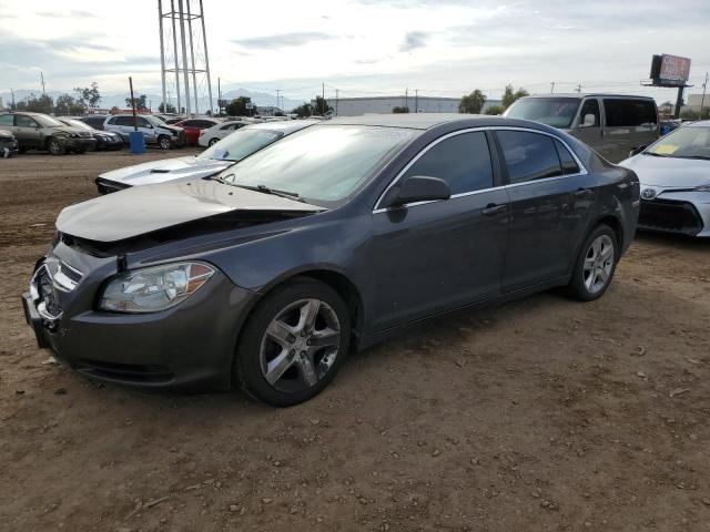 CHEVROLET MALIBU LS 2011 with VIN 1G1ZA5EUXBF348488 - Photo from auction