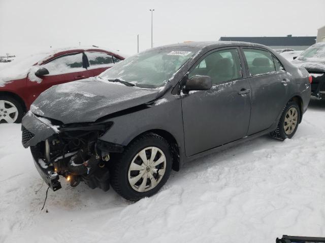 TOYOTA COROLLA 2010 with VIN 2T1BU4EE6AC191729 - Photo from auction