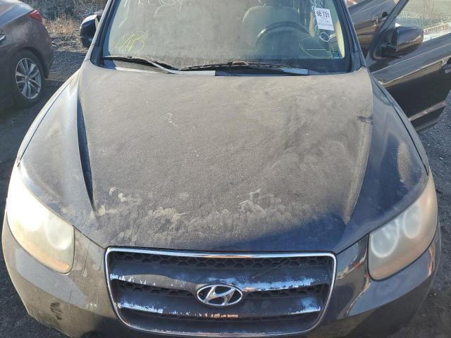 Photo 12 from auction – 2007 HYUNDAI SANTA FE S with VIN 5NMSH13E77H077635