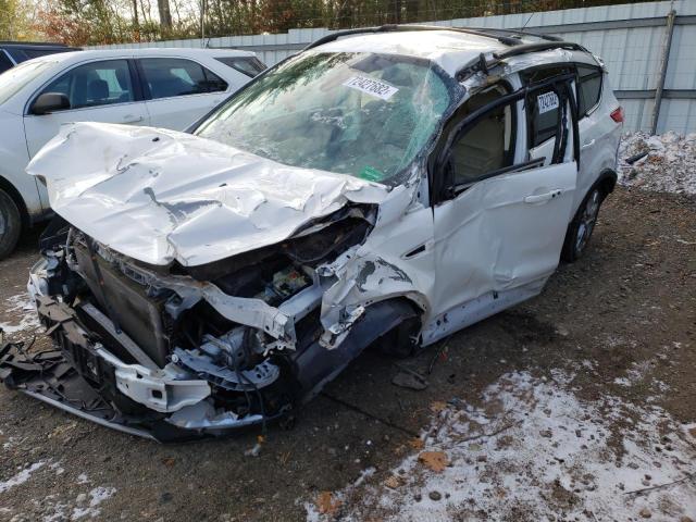 FORD ESCAPE SEL 2013 with VIN 1FMCU9HX6DUB12044 - Photo from auction