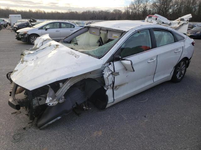 HYUNDAI SONATA SE 2016 with VIN 5NPE24AF7GH295248 - Photo from auction