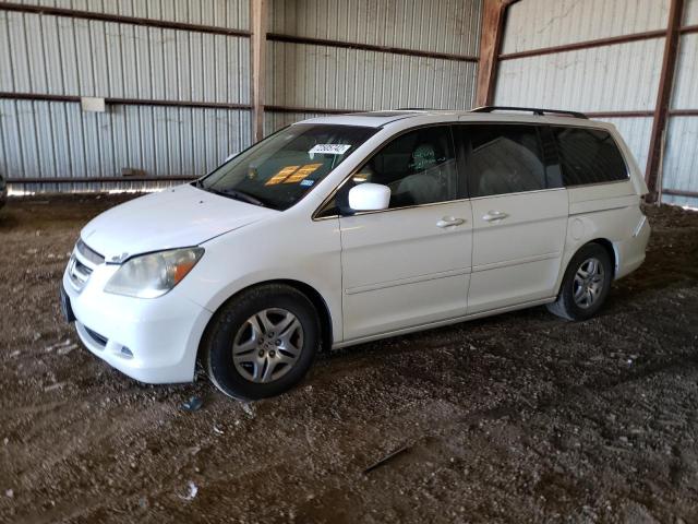 Photo 1 from auction – 2007 HONDA ODYSSEY EX with VIN 5FNRL38757B099167