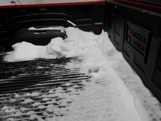 Photo 10 from auction – 2008 DODGE RAM 1500 S with VIN 1D7HA16K78J226000