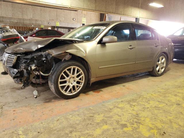 NISSAN MAXIMA SE 2005 with VIN 1N4BA41E15C824799 - Photo from auction