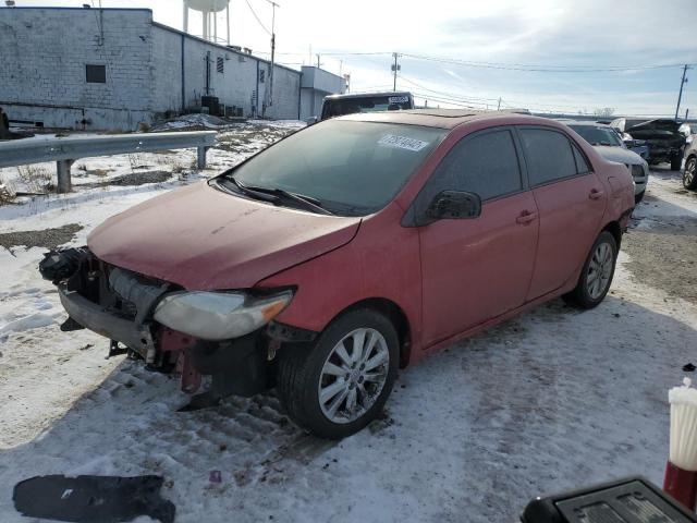 TOYOTA COROLLA BA 2010 with VIN 2T1BU4EE2AC493521 - Photo from auction