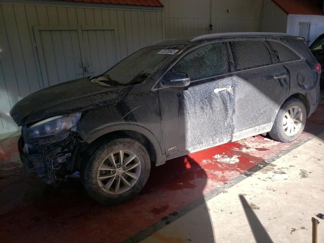 KIA SORENTO LX 2016 with VIN 5XYPGDA32GG066872 - Photo from auction