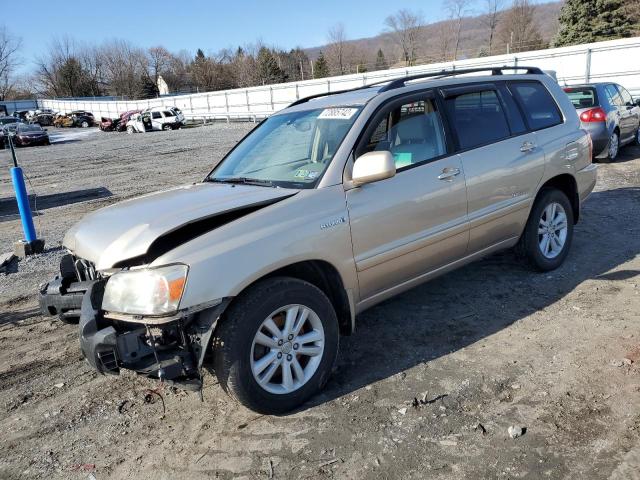 TOYOTA HIGHLANDER 2007 with VIN JTEEW21A370046449 - Photo from auction