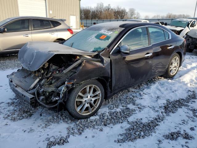 NISSAN MAXIMA S 2010 with VIN 1N4AA5APXAC804323 - Photo from auction
