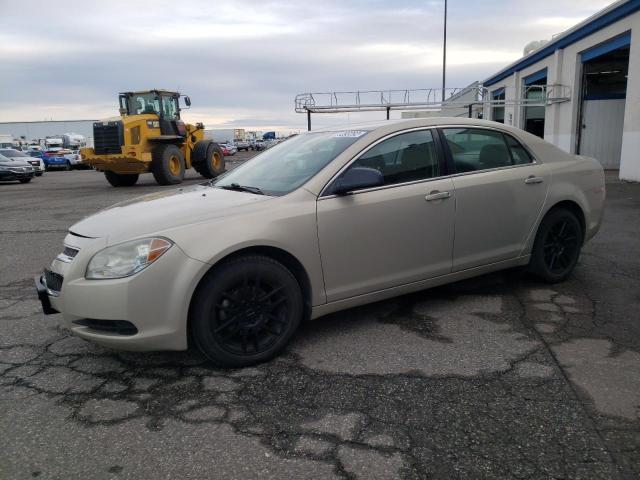 CHEVROLET MALIBU LS 2010 with VIN 1G1ZA5E08AF282633 - Photo from auction