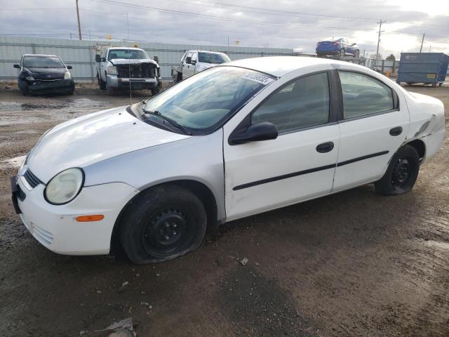 DODGE NEON BASE 2004 with VIN 1B3ES26C34D557305 - Photo from auction