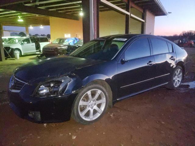 NISSAN MAXIMA SE 2008 with VIN 1N4BA41E78C838145 - Photo from auction