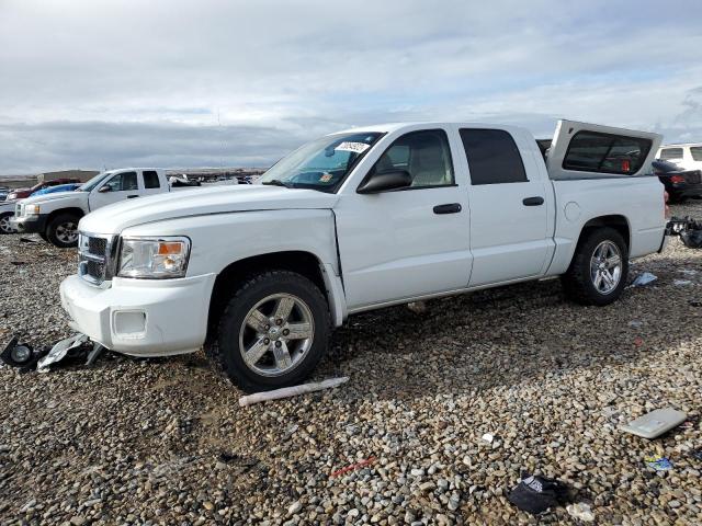 DODGE DAKOTA QUA 2008 with VIN 1D7HW48N68S521447 - Photo from auction