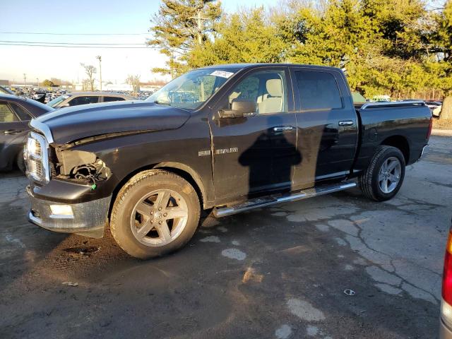 DODGE RAM 1500 2010 with VIN 1D7RV1CT3AS183314 - Photo from auction
