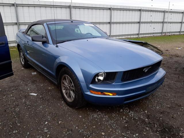 Photo 4 from auction – 2005 FORD MUSTANG with VIN 1ZVHT84N355259779