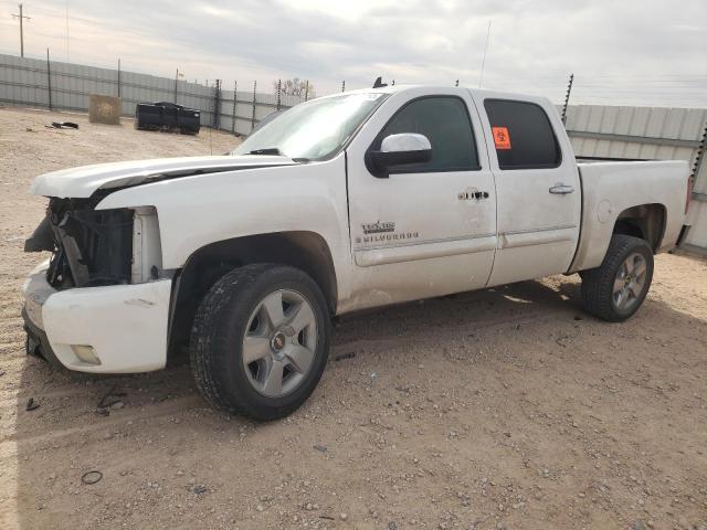 CHEVROLET SILVERADO 2009 with VIN 3GCEC23JX9G141051 - Photo from auction