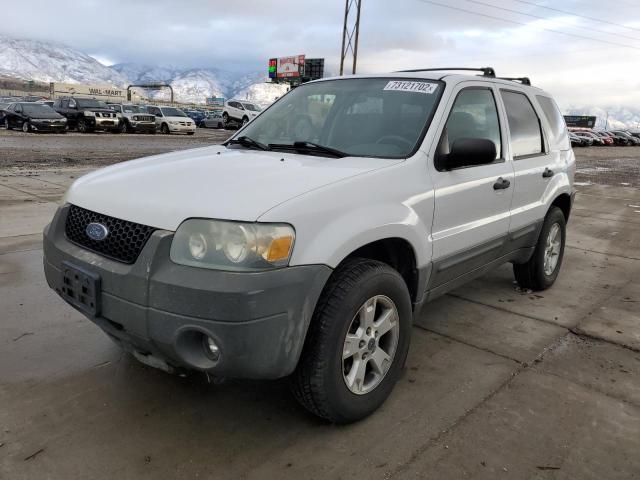 FORD ESCAPE XLT 2006 with VIN 1FMCU93196KD48639 - Photo from auction