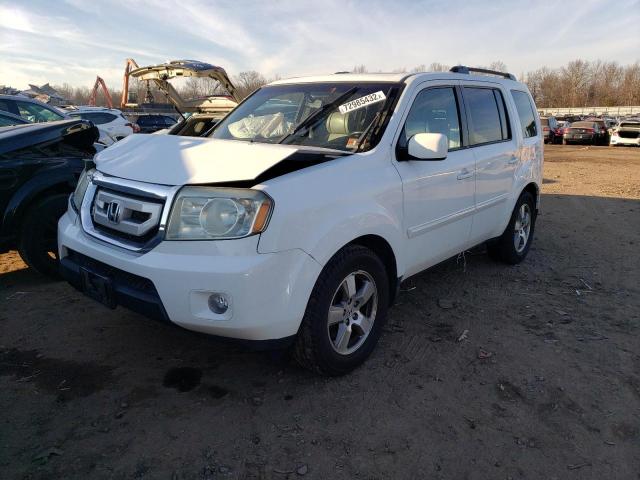 HONDA PILOT EXL 2010 with VIN 5FNYF4H5XAB037228 - Photo from auction