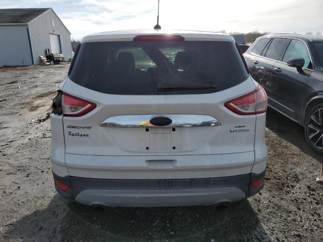 Photo 6 from auction – 2013 FORD ESCAPE SEL with VIN 1FMCU0HX7DUD51002