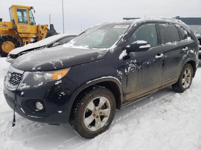 KIA SORENTO EX 2013 with VIN 5XYKUCA69DG357016 - Photo from auction