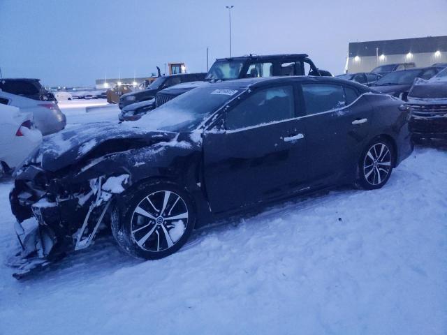 Photo 1 from auction – 2022 NISSAN MAXIMA SL with VIN 1N4AA6DV8NC504849