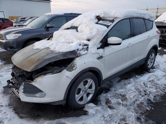 FORD ESCAPE SE 2013 with VIN 1FMCU0GX8DUC04835 - Photo from auction