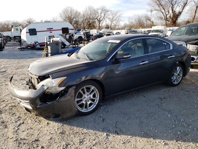 NISSAN MAXIMA S 2009 with VIN 1N4AA51E89C823348 - Photo from auction