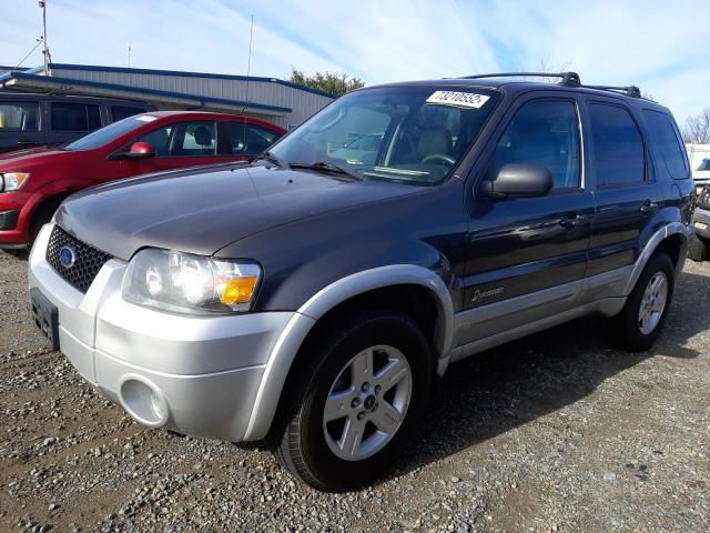 FORD ESCAPE HEV 2005 with VIN 1FMCU96HX5KD90891 - Photo from auction