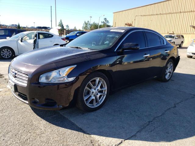 NISSAN MAXIMA S 2011 with VIN 1N4AA5AP8BC845938 - Photo from auction