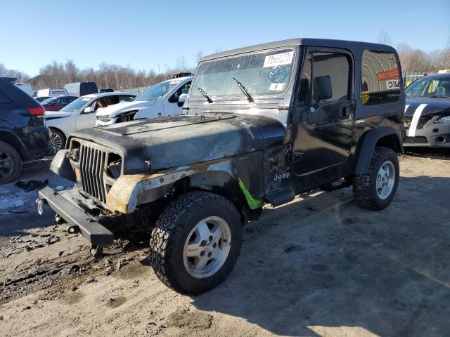 JEEP WRANGLER / 1995 with VIN 1J4FY19P4SP214616 - Photo from auction